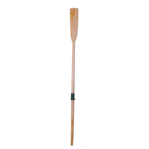 BEECH OAR
