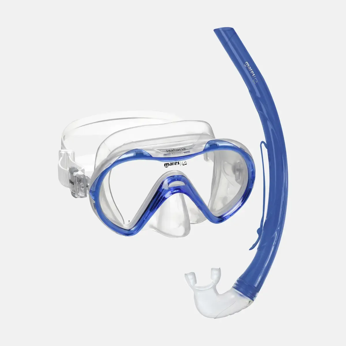 Combo Seahorse snorkeling