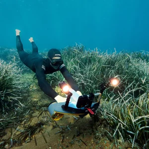 Waterproof LED Light